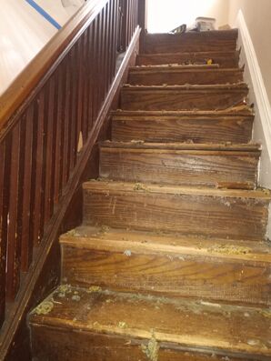 Replacement Stairs in Hackensack, NJ (1)